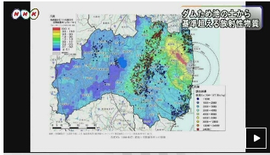 fukushimatameikeキャプチャ