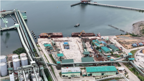 ボルネオの熱帯雨林を伐採して積み出す港湾施設（＝RANのサイトから）