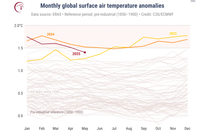 スクリーンショット 2025-06-11 173940