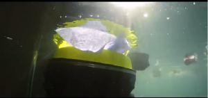 Seaeffectキャプチャ