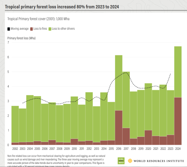 スクリーンショット 2025-05-22 231957