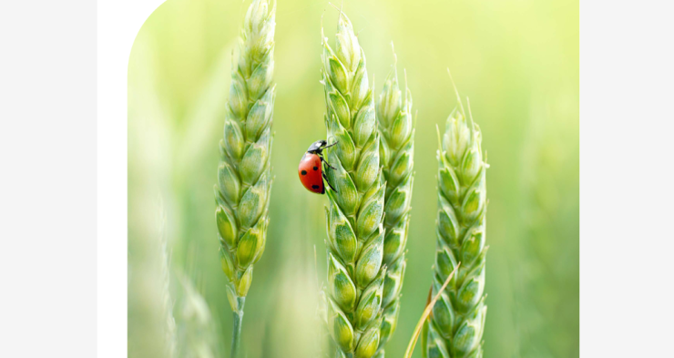 スクリーンショット 2024-12-14 014517