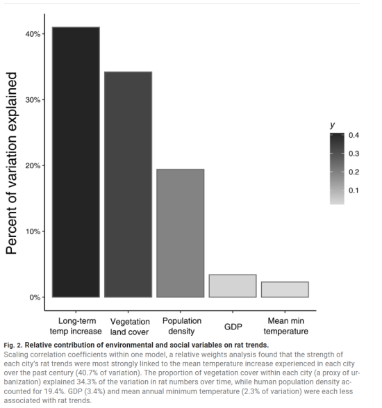 ネズミの発生要因