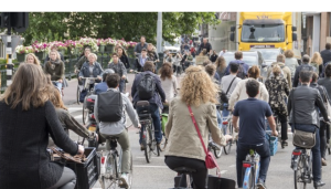 スクリーンショット 2024-12-29 232432