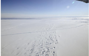 【メディア・報道関係・法人の方】写真購入のお問合せはこちら
.
NASAの航空機DC-8型機により撮影されたパインアイランド氷河（Pine Island Glacier）の棚氷（2011年10月14日撮影、資料写真）