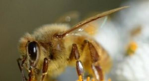 スクリーンショット 2024-12-19 235119