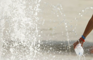 スクリーンショット 2024-12-20 154431