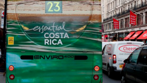 スクリーンショット 2024-12-22 160946