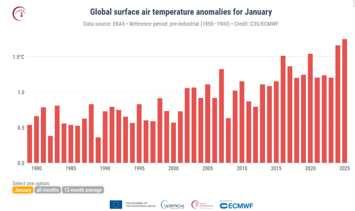 スクリーンショット 2025-02-12 215758