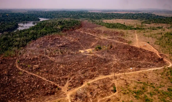 森林伐採で消え失せたアマゾンの元熱帯雨林地帯=Guardian紙より