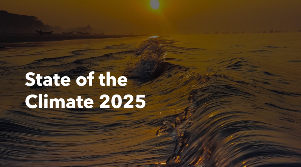 WMO001スクリーンショット 2026-03-23 230248