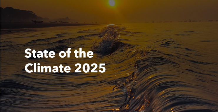 WMO001スクリーンショット 2026-03-23 230248