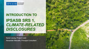 IPSASB001スクリーンショット 2026-01-30 121135