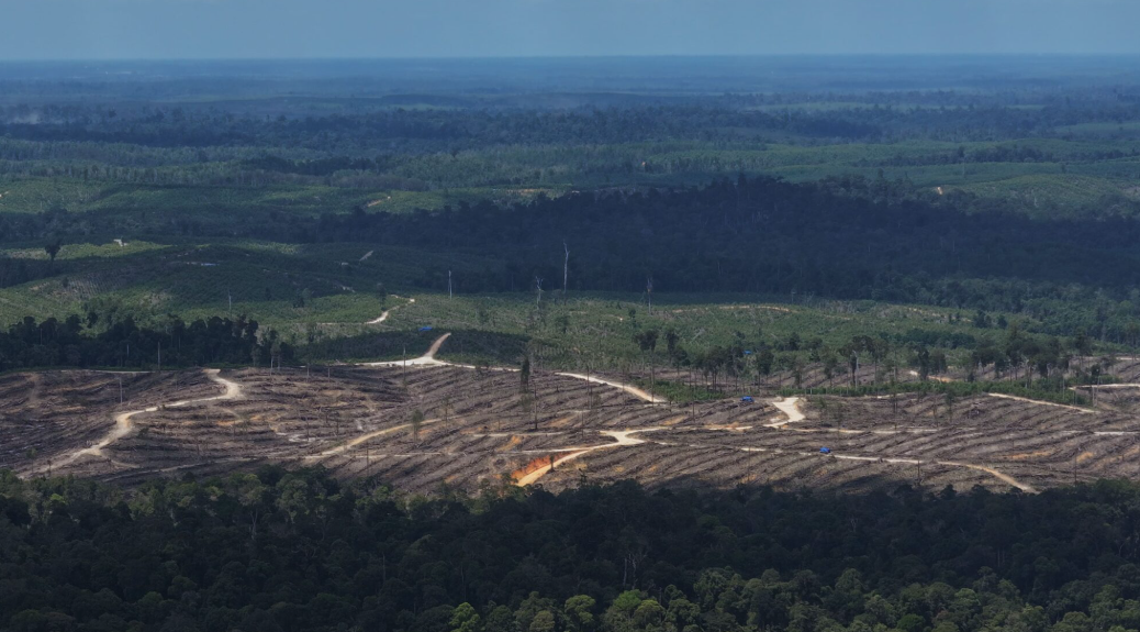 RANGREキャプチャ