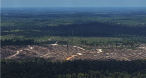 RANGREキャプチャ