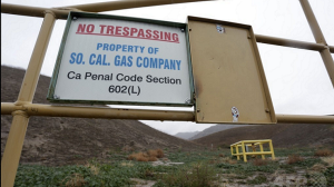 californiaキャプチャ