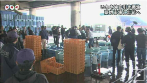 築地向けに出荷準備中のいわき市のセリ市場