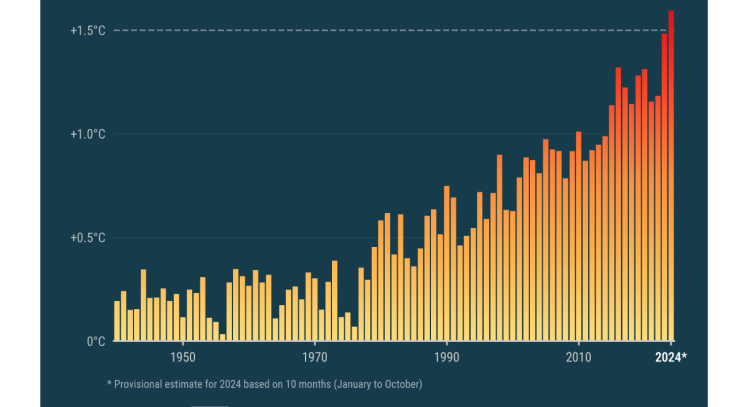 スクリーンショット 2024-11-08 120324