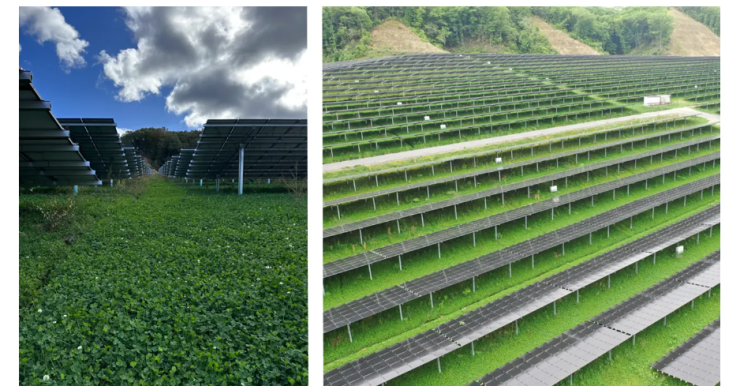 スクリーンショット 2024-08-21 215829