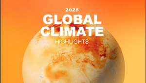 スクリーンショット 2026-01-15 010724