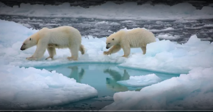 スクリーンショット 2024-12-16 011250