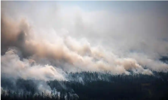 燃えるに任されるシベリアの森林火災