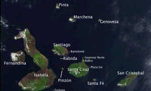 スクリーンショット 2024-12-16 133156