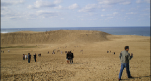 tottoriキャプチャ