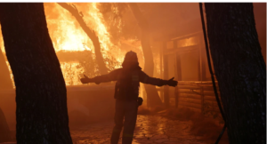 スクリーンショット 2024-12-14 184820