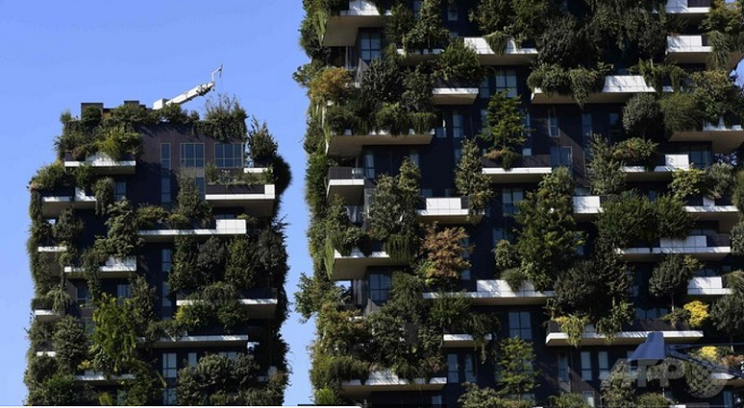 木だらけのビルが地球を救う 大都市にそびえ立つ 垂直の森 イタリアの建築家が設計 世界中に展開へ Afp 一般社団法人環境金融研究機構