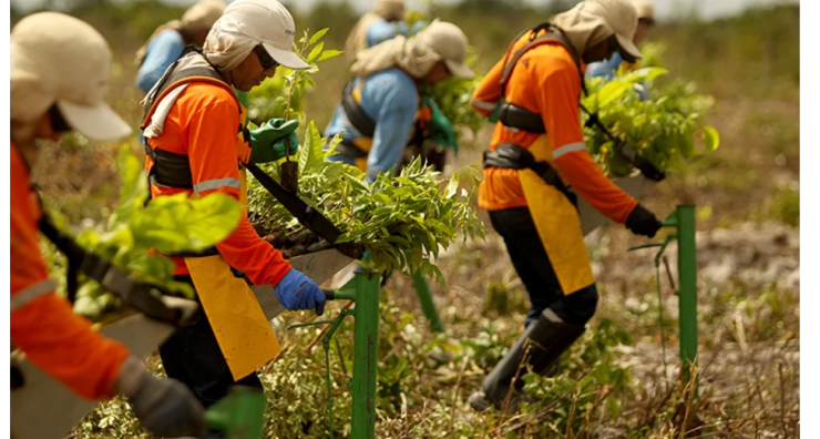 スクリーンショット 2024-08-15 141704