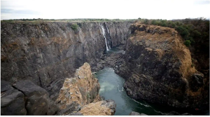 Victoria2キャプチャ