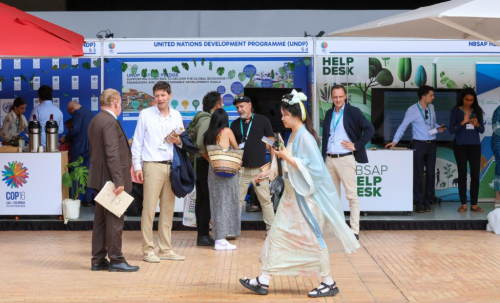 COP16の会場の様子=IISDのサイトから