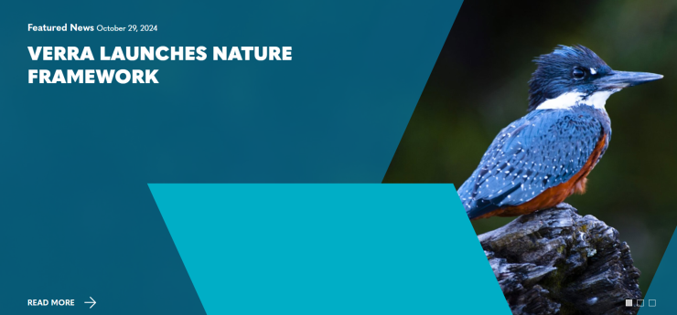 スクリーンショット 2024-11-01 143230