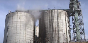 Chiba003キャプチャ