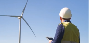 Vinyardwindキャプチャ