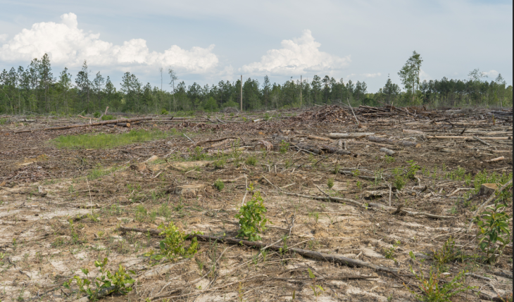 スクリーンショット 2025-10-04 215648