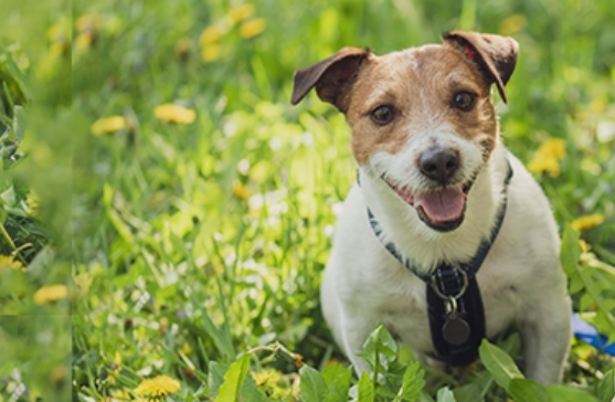 スクリーンショット 2024-12-20 012500