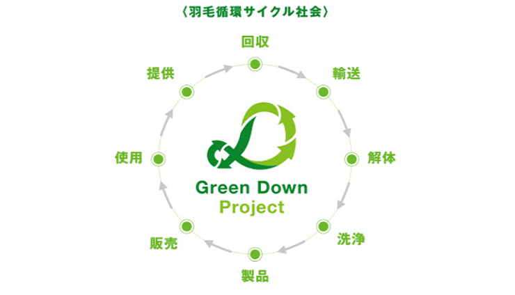 Greendawnprojectキャプチャ