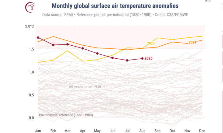 スクリーンショット 2025-09-10 155005