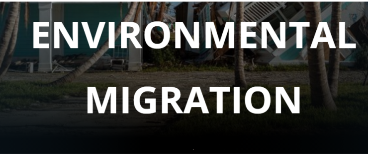 スクリーンショット 2024-12-29 235216