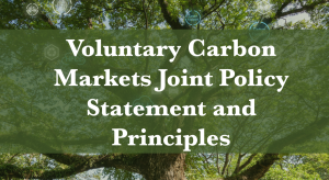 スクリーンショット 2024-05-31 224839