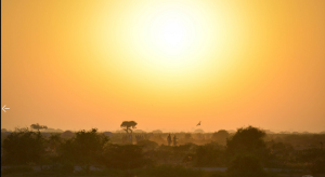 Africaキャプチャ