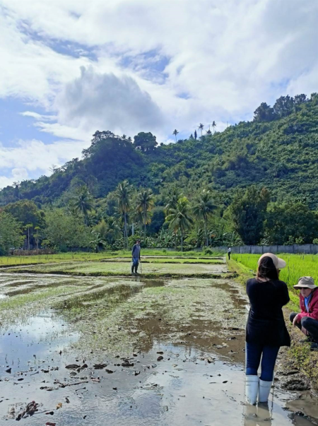 フィリピン大学との共同事業には、現地の農民たちも協力