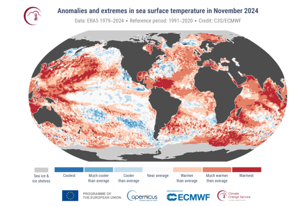 11月のグローバルな海洋水温の変化の分布