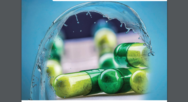 スクリーンショット 2024-12-18 172901