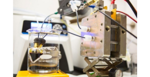 harberdキャプチャ