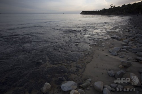 流出した石油が海岸を覆う
