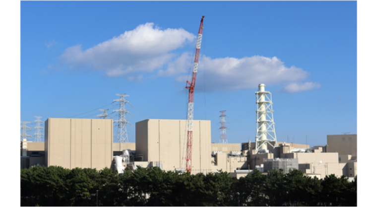 Chubuhamaoka2026-01-08 004942