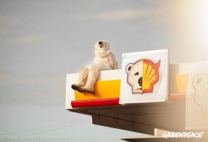 シェルのガソリンスタンドに乗り込んだシロクマ